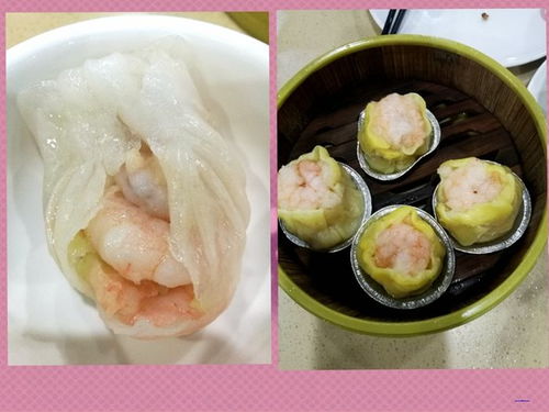 湛江自由行實用攻略 探索海濱風光與水產批發寶地