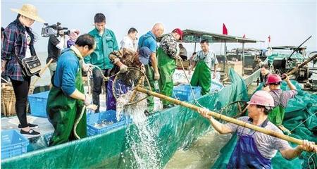 從生計漁業到生態漁業 記者探訪江浙多地見證太湖最后的傳統捕魚季與水產品批發變遷